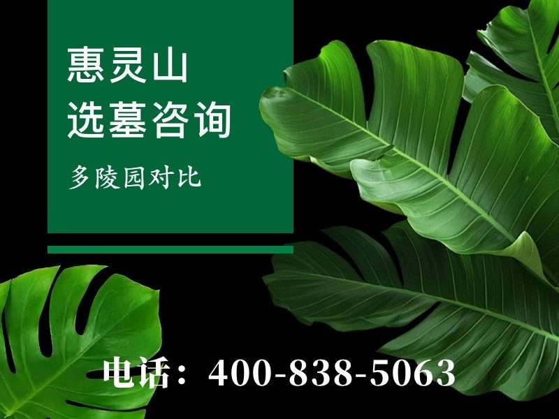 “惠灵山陵园的塔葬和地面葬价格差了几倍？”