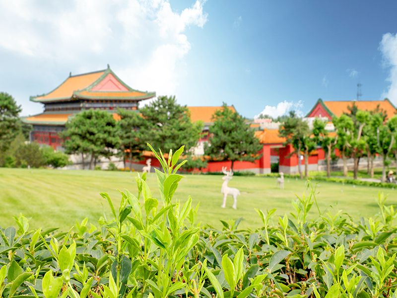 在昌平殡仪馆办理业务需要预约吗？昌平殡仪馆联系电话